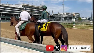 Bango Ties All-Time Record to Become Churchill Downs' Winningest Horse