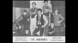 The Aardvarks – That’s Your Way (1966)***