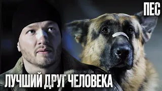 💔 СПАС ЛУЧШЕГО ДРУГА! Убойный Детектив 2022 - Сериал ПЕС 2022 - Лучшие серии