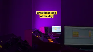 Breakbeat Loop with Ableton and Moog