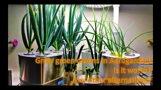 Grow green onions in Aerogarden from seeds and cuttings | hydroponics | 4 in 1 experiment