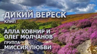 ДИКИЙ ВЕРЕСК. Клип. АЛЛА КОВНИР И ОЛЕГ МОЛЧАНОВ ГРУППА "МИССИЯ ЛЮБВИ"