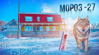 ВОЛКИ ХОДЯТ РЯДОМ! МОРОЗ -27! ПРОПАЛО ЭЛЕКТРИЧЕСТВО!