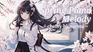 Spring Piano Melody ~SAKURA~ [ Repeat ]