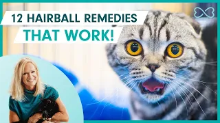 12 Remedies to Banish Cat Hairballs - That Actually Work!
