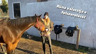 Rúna választja a felszerelését 🐎