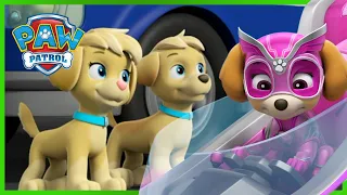 Skye Meets the Mighty Twins and MORE | PAW Patrol | Cartoons for Kids