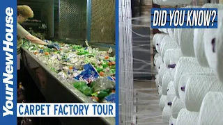 Recycled Carpet Factory Tour - Did You Know?