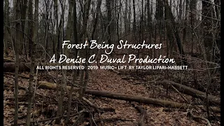 Forest Being Structures