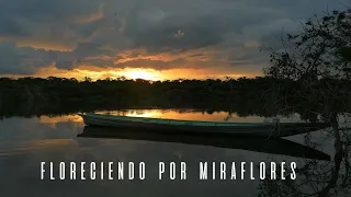 Somos resilientes, resistentes y dignos. Miraflores, Guaviare. | Dignidad Estéreo 89.7  FM