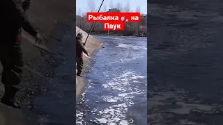 Рыбалка на паук