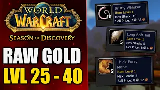 Phase 2 Raw Gold Farming in Season of Discovery Classic WoW