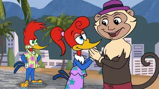 Culparlo en Rio de Janeiro | El Pájaro Loco | Dibujos animados para niños | WildBrain en Español