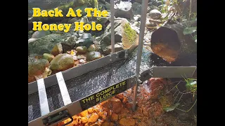 Back At The Honey Hole (More Gold Found)