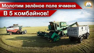 Сбежал на уборку ячменя на МАЗе. Извечные поломки ДОН-1500Б.