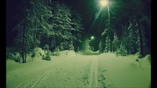 Выборгская лыжная трасса./Vyborg ski trail.