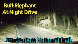 हाथी मिला Night Drive में । Jim Corbett National Park Night Drive । Tiger Sighting Phato Safari Info