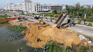 Great Team Work! Land fill up FULL Video 4H processing Dump truck with Dozer pushing soil clear land