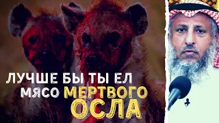 Сплетня в Исламе, хуже поедания мяса мертвого осла.