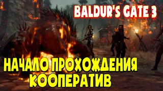 Baldur's Gate 3 кооперативное прохождение 2023 ХАРДКОР #1