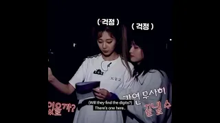 Brave Tzuyu & Scared Momo ✨👻🤣 #Shorts #TWICE