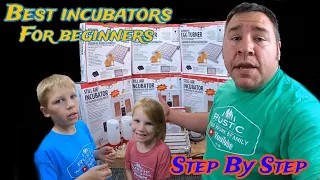 The best incubator for beginners | How to incubate quail and chicken eggs | Little Giant incubators.