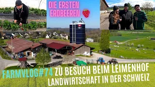 FarmVlog#74 Zu Besuch beim Leimenhof in der Schweiz / Die ersten Erdbeeren in unserer Region 🍓