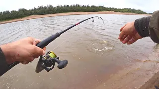 РЫБАЛКА В МУТНОЙ ВОДЕ, ГДЕ СТОЯТ КРУПНЫЕ РЫБЫ. ЛОВЛЯ НА СПИННИНГ С БЕРЕГА. ЩУКИ, ОКУНЯ.