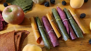 Great Fruit Leather Recipes - Waste less food