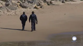 Traficantes abalroam lancha da Polícia Marítima