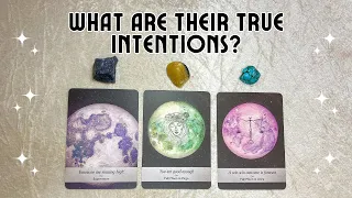 💞 Your Person's True Feelings & Intentions... 🤔🫣 Pick A Card Timeless Tarot Reading