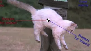 Flipping Cat Maneuver on the Space Station? #askAstro (30 sec) Smarter Every Day 83