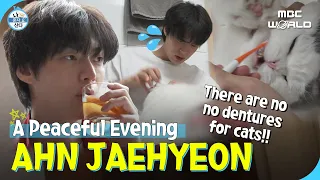 [C.C.] JAEHYEON's happy night with every single type of alcohol (feat. flossing) #AHNJAEHYEON