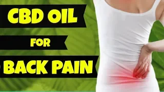 CBD Oil for Back Pain | Sciatica