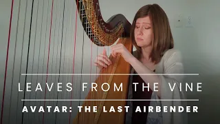 Leaves from the Vine - Avatar: The Last Airbender | Harpist: Kristan Toczko