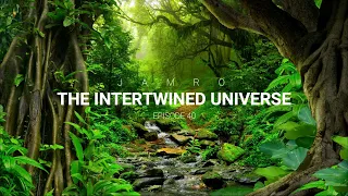 Melodic Techno & Progressive House  | The Intertwined Universe | EP 40 | JAMRO | DJ MIX 202