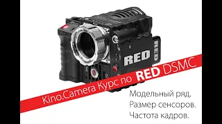 Курс RED DSMC. Модельный ряд. Размеры сенсоров. Частота кадров.