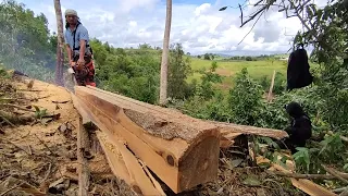 Monster saw eats like spaghetti||Lumber making techniques//Totordz Tv