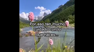 La vida da muchas vueltas