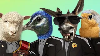 Funny Donkey & Sheep & Bird & Peacock - Coffin Dance Meme ( COVER )