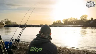 Barbel Fishing Tips and Rigs at Collingham Weir - Catch more Barbel!