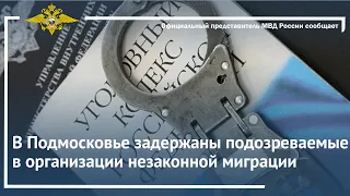 Ирина Волк: В Подмосковье задержаны подозреваемые в организации незаконной миграции