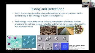 Cyclospora and Why the Food Industry Should be Familiar with this Parasite & the Risk it Represents