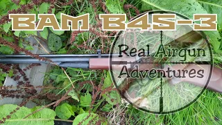 BAM B45-3 Pump Air Rifle