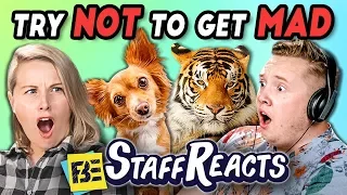 TRY NOT TO GET MAD CHALLENGE #3 (ft. FBE Staff)