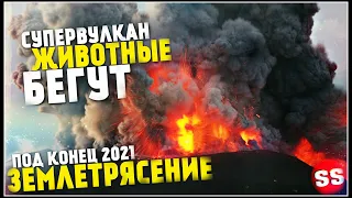 Йеллоустоун Землетрясение, США Трясет, Снегопад 29 Декабря! Ураган, Наводнение. Катаклизмы за неделю