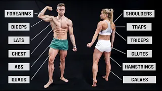 Hit Every Muscle in 30 Minutes (Full Body Workout Routine!)