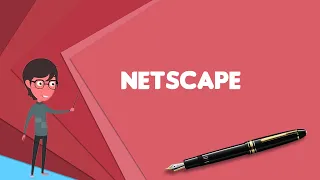 What is Netscape? Explain Netscape, Define Netscape, Meaning of Netscape