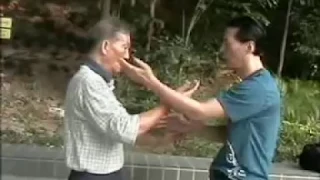 正宗葉問詠春傳人 宗師葉正與郭思牧黐手片段 Top Level Wing Chun Chi Sao - Ip Ching and Samuel Kwok