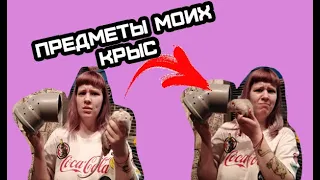 ПРЕДМЕТЫ МОИХ КРЫС + ЛАЙФХАКИ